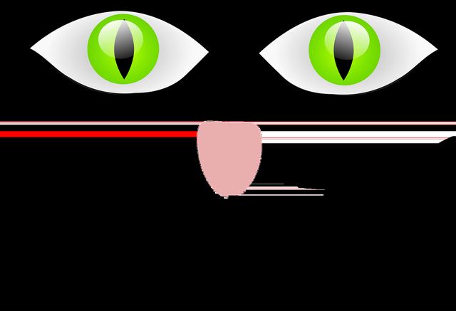 毛片网站大全免费版-毛片网站大全最新appwwwvv58iphone版_vfysim安卓网