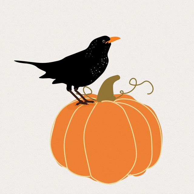 “携手75载·全球治理倡议与中巴经济走廊建设”研讨会在巴基斯坦举行