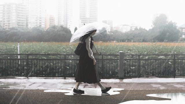 由“娇龙”月季想到的(评论员观察)