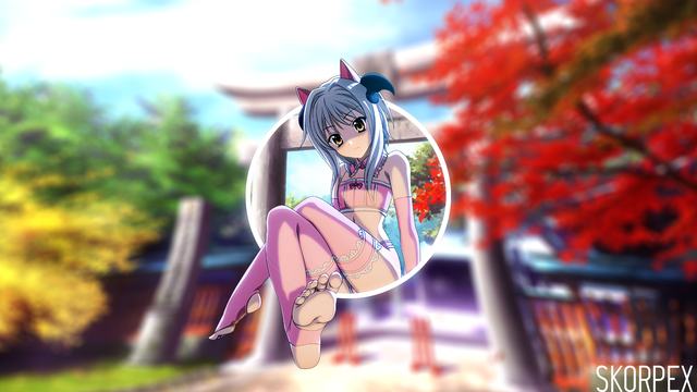 从台北到哈尔滨:台湾小提琴手的音乐“双城记”